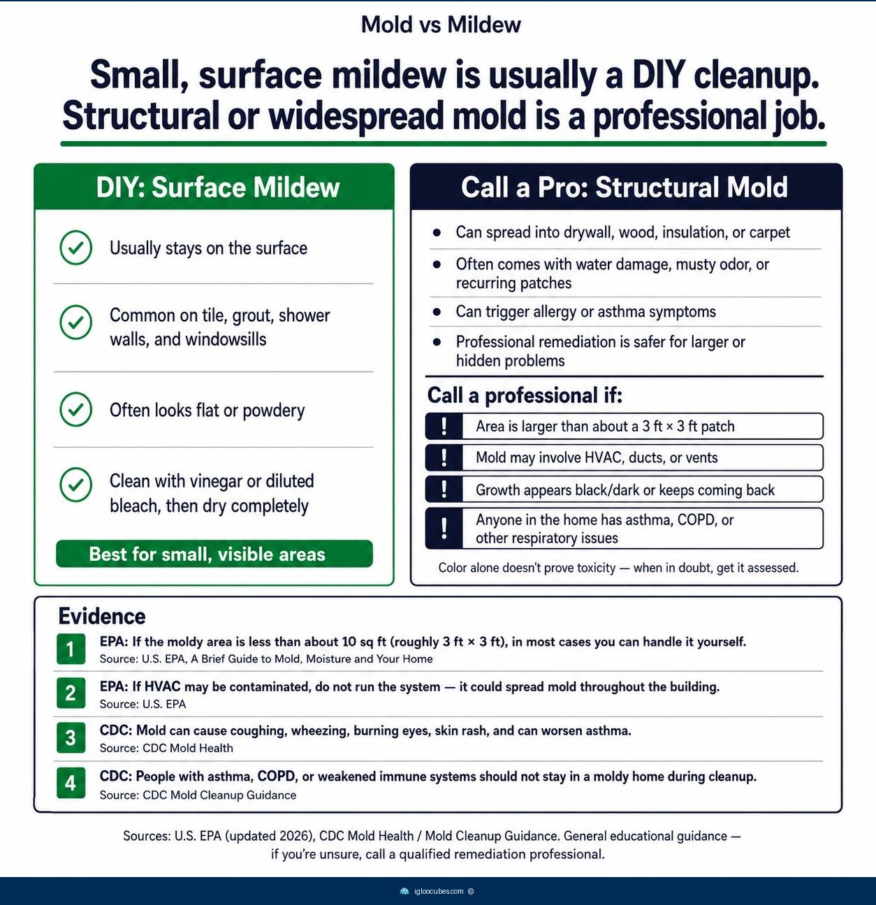 Comparison infographic — DIY approach for mildew on tile and grout (flat, powdery, cleaned with vinegar or bleach) vs professional remediation for structural mold larger than 3x3 feet, involving HVAC, or causing respiratory concerns.