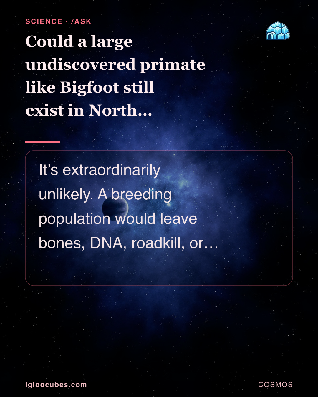 Could a large undiscovered primate like Bigfoot still exist in North America?