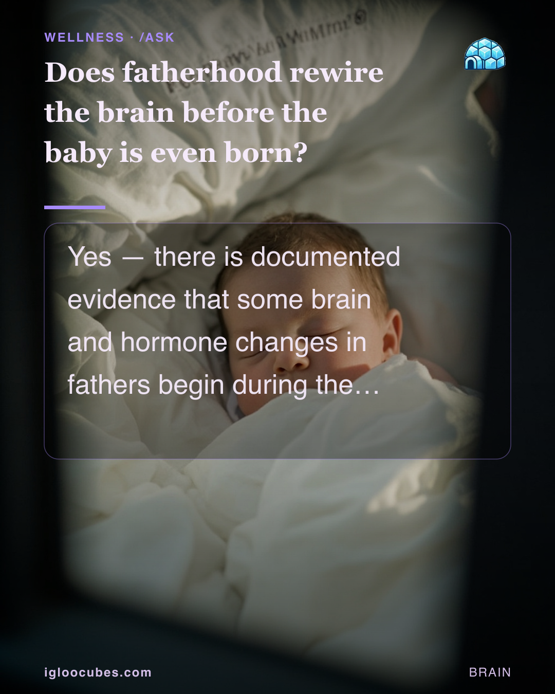 Does fatherhood rewire the brain before the baby is even born?