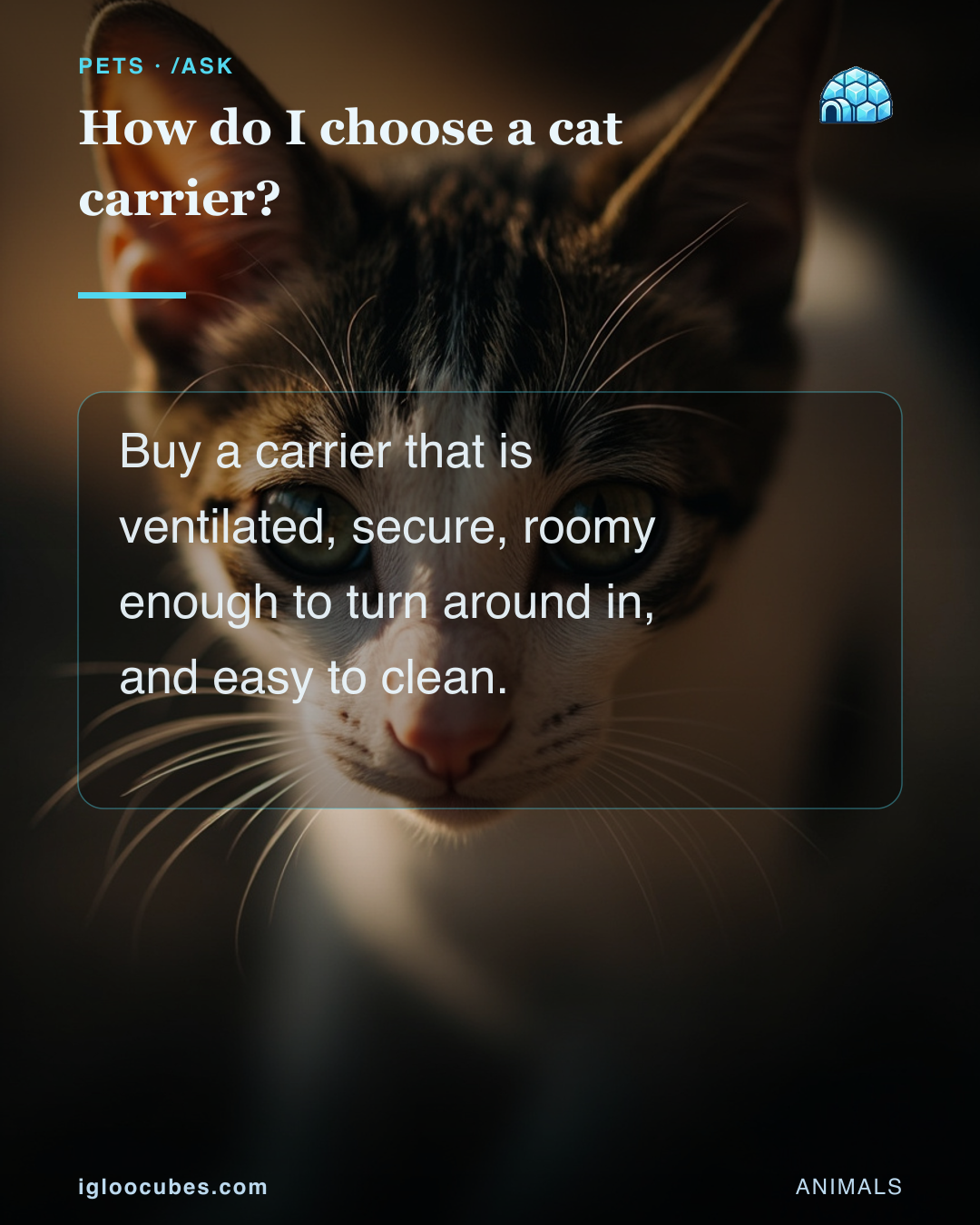 How do I choose a cat carrier?
