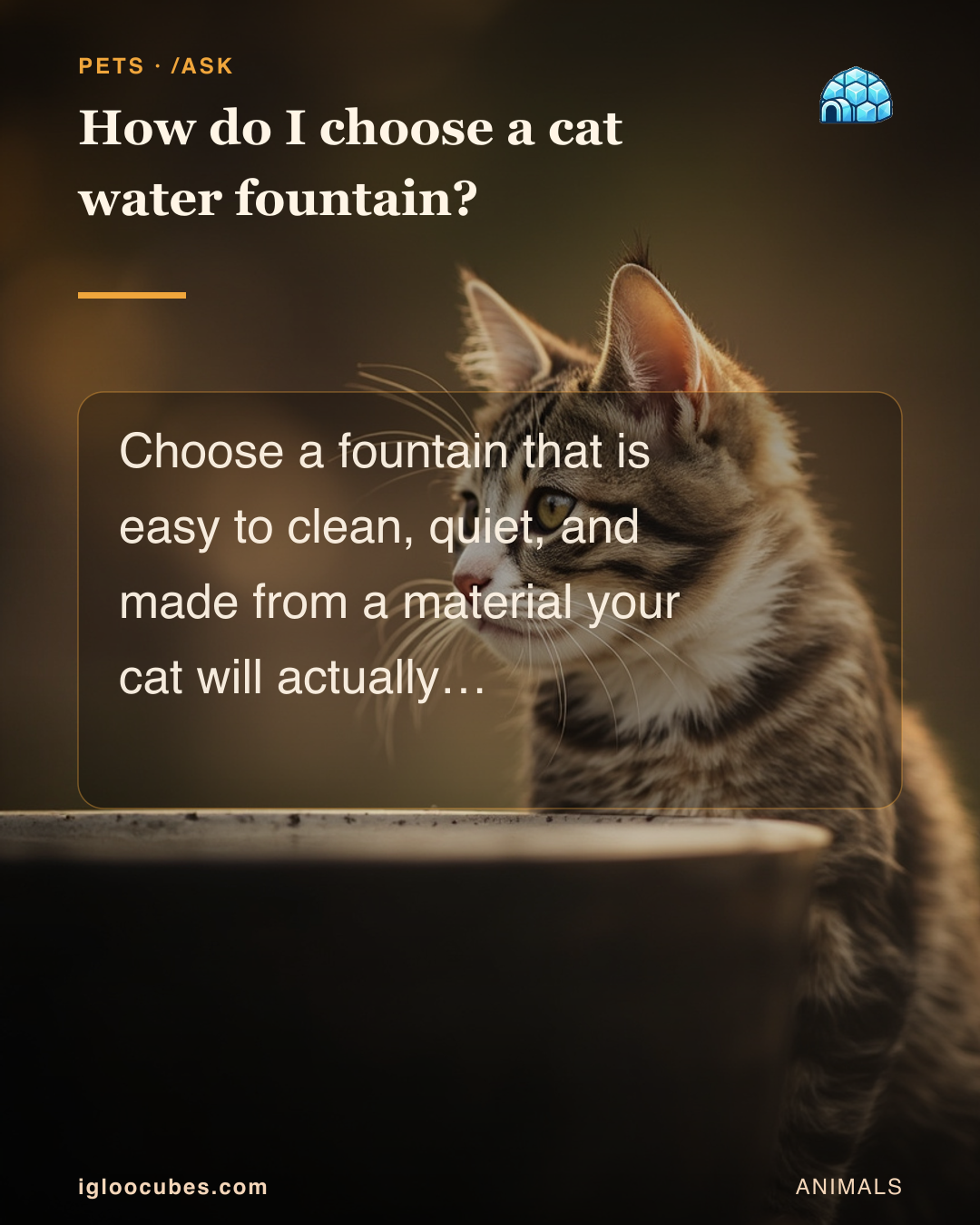 How do I choose a cat water fountain?