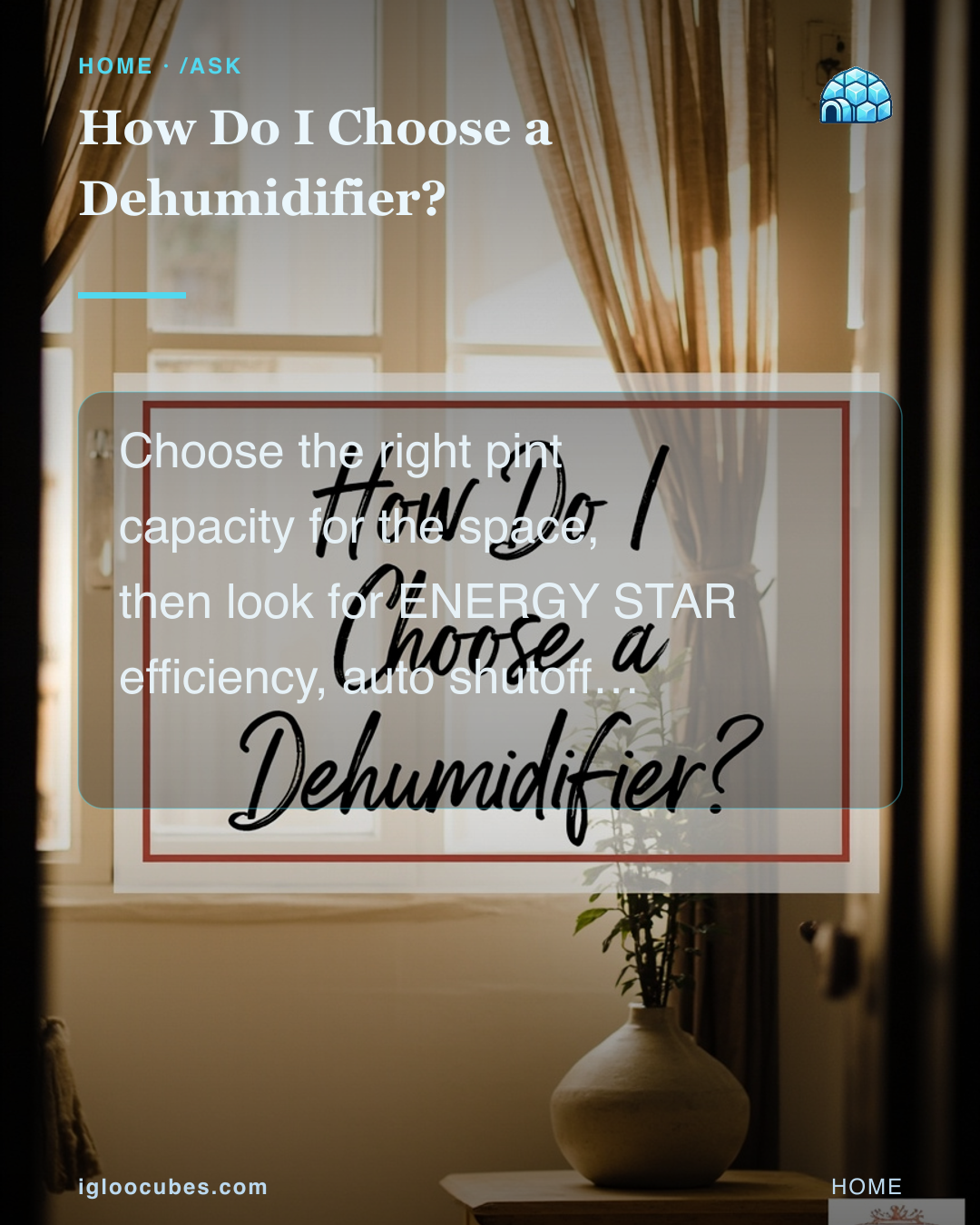 How Do I Choose a Dehumidifier?