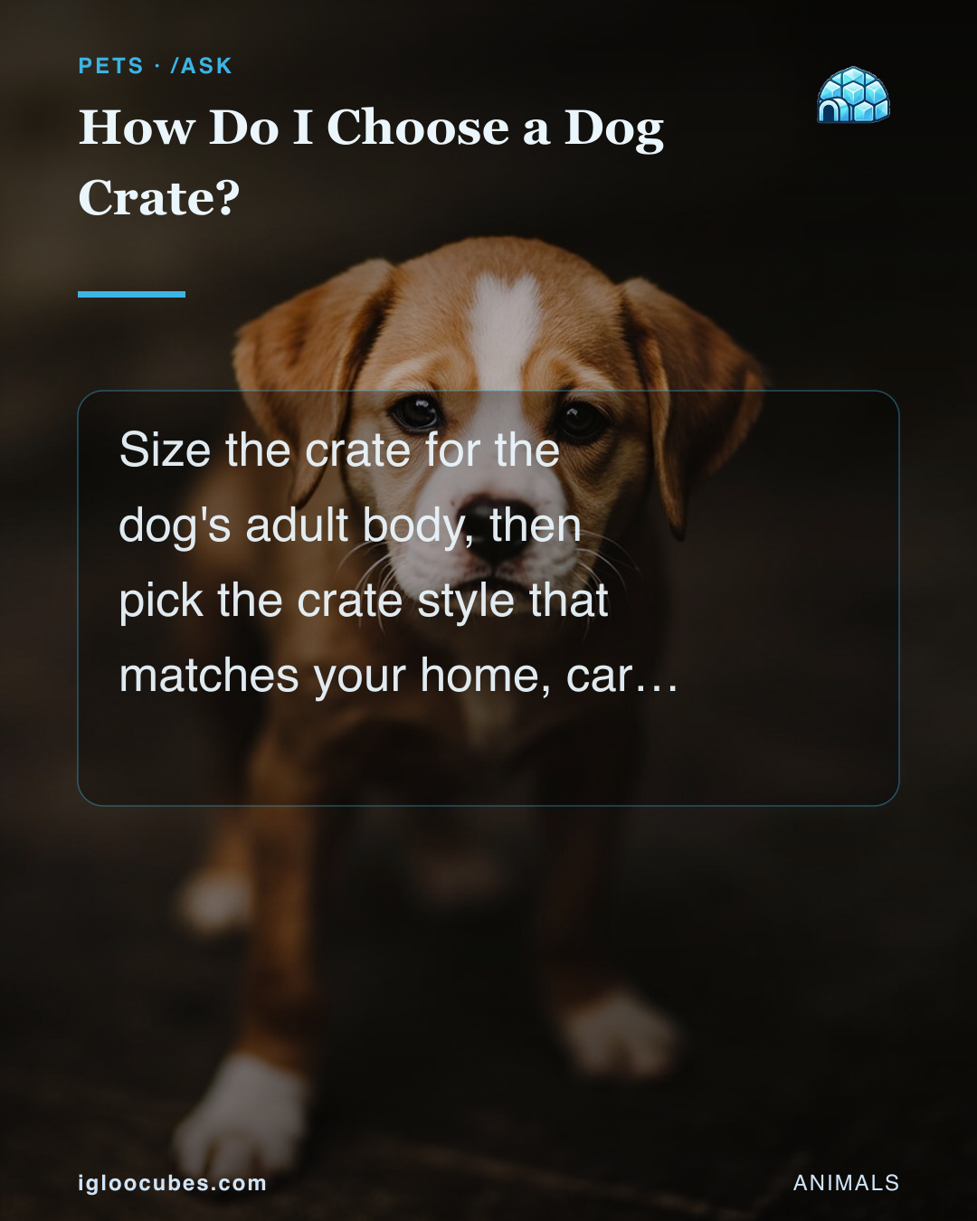 How Do I Choose a Dog Crate?