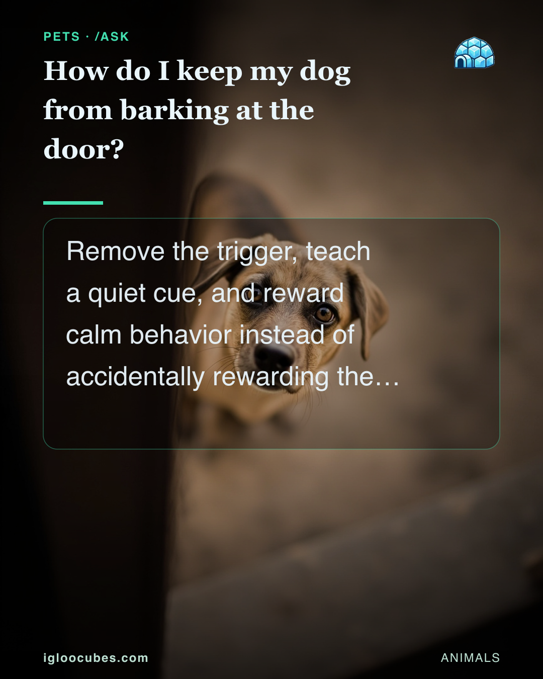 How do I keep my dog from barking at the door?
