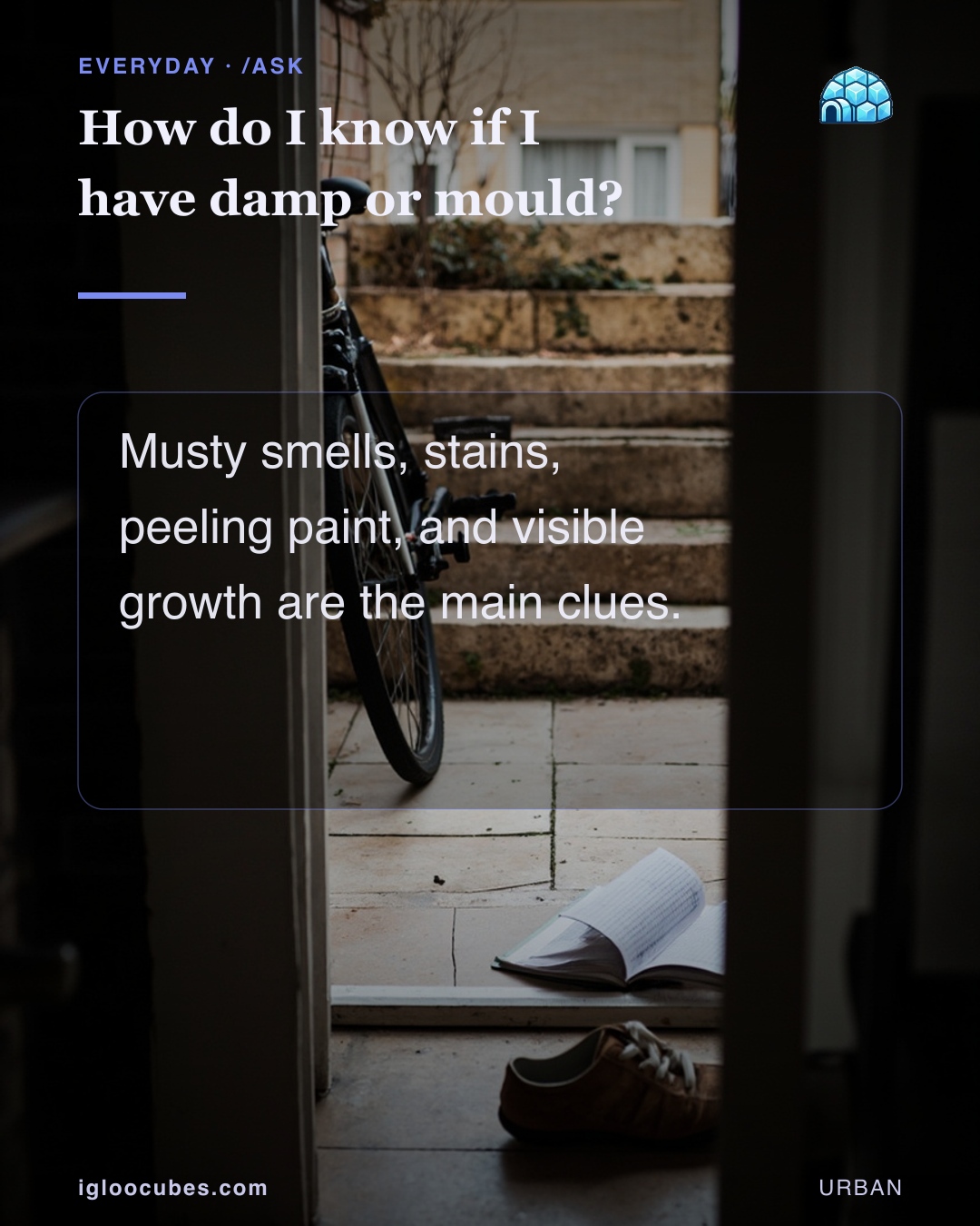 How do I know if I have damp or mould?