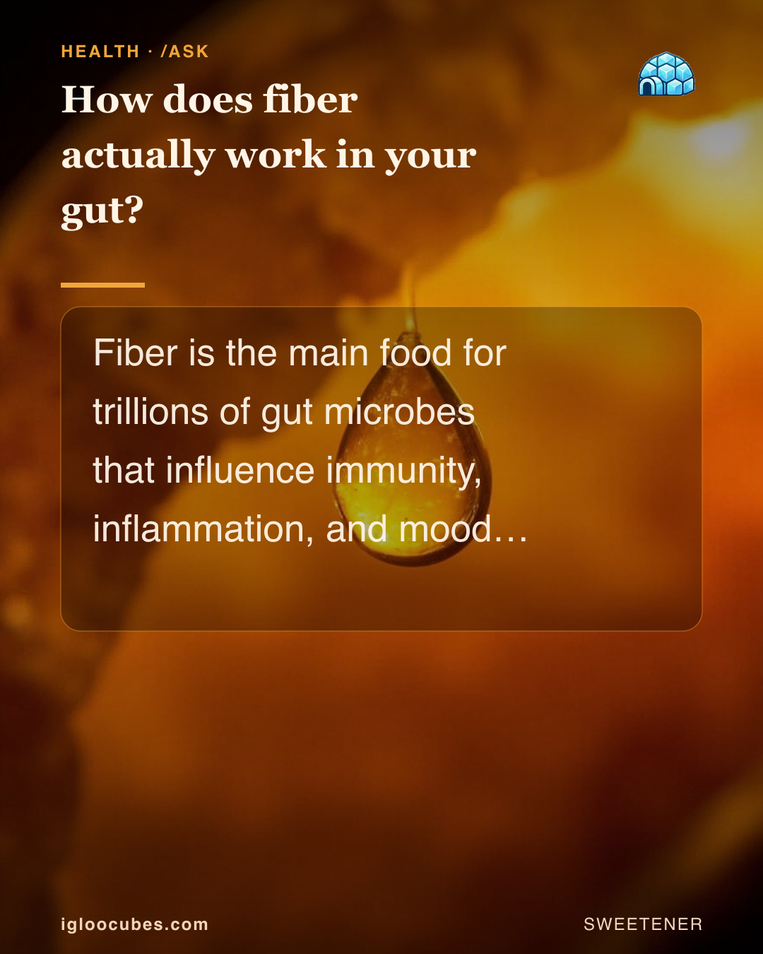 How does fiber actually work in your gut?