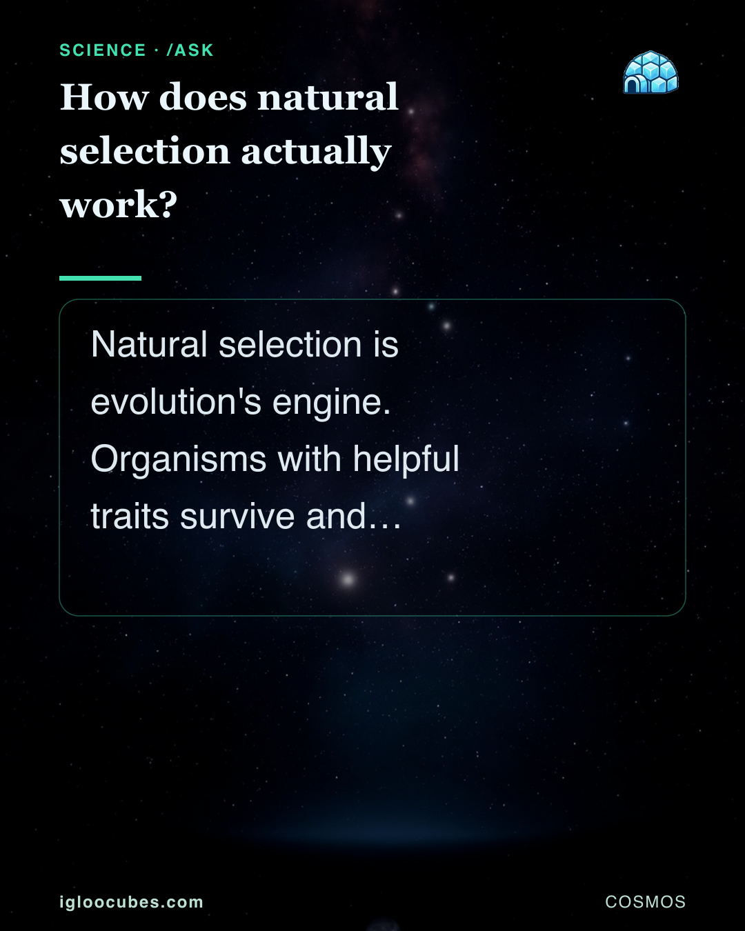 How does natural selection actually work?