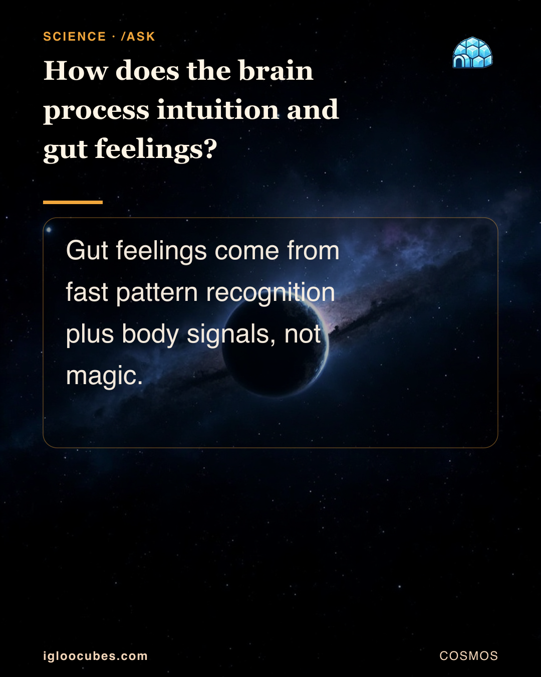 How does the brain process intuition and gut feelings?