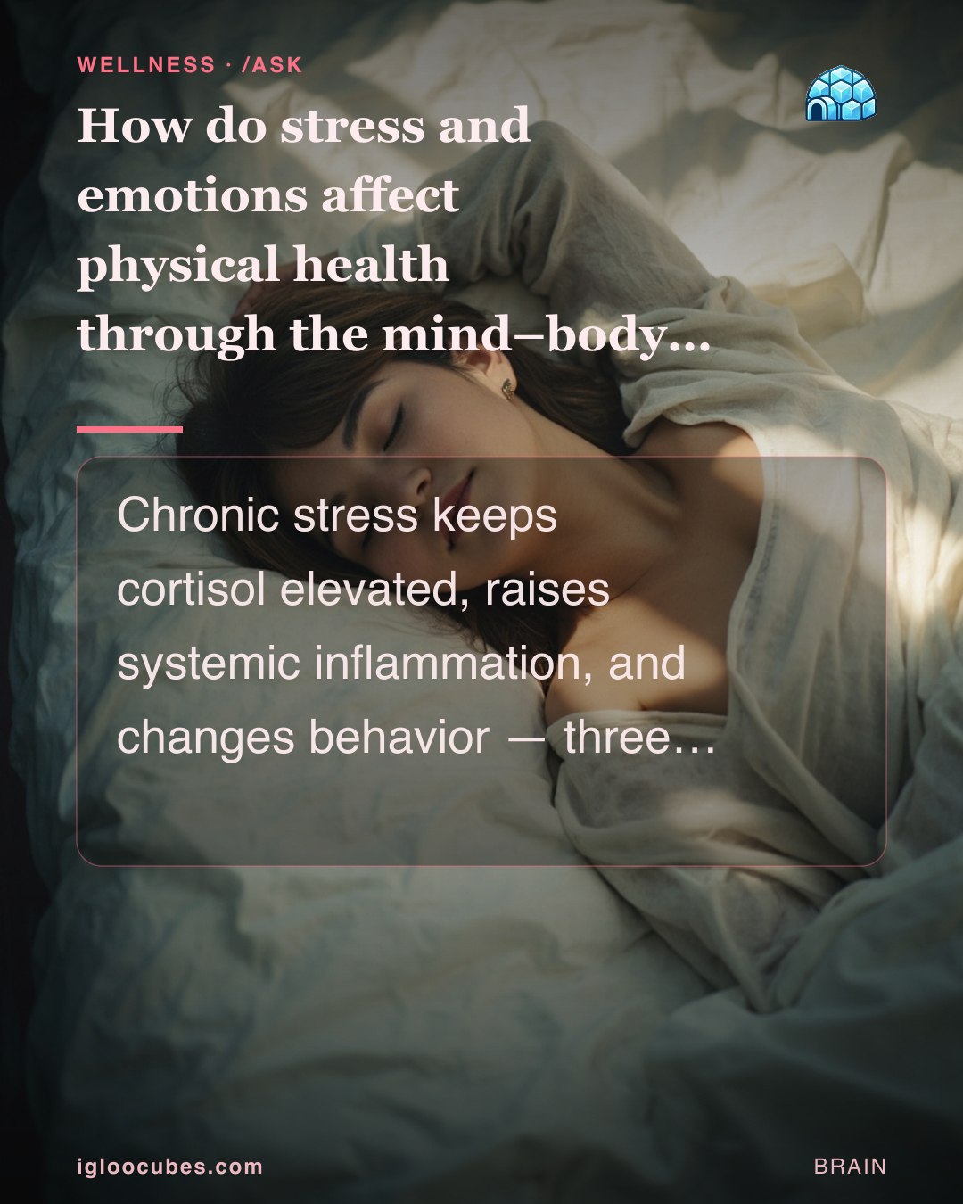 How do stress and emotions affect physical health through the mind–body connection?