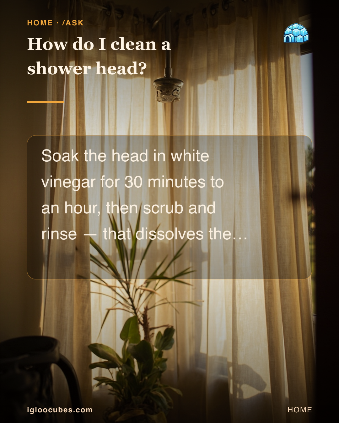 How do I clean a shower head?