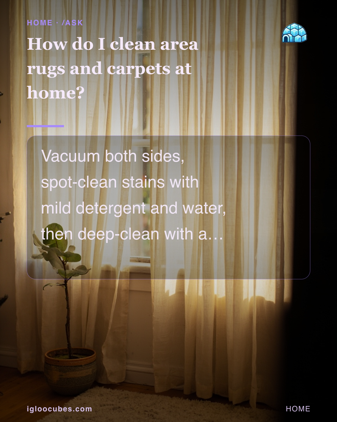 How do I clean area rugs and carpets at home?