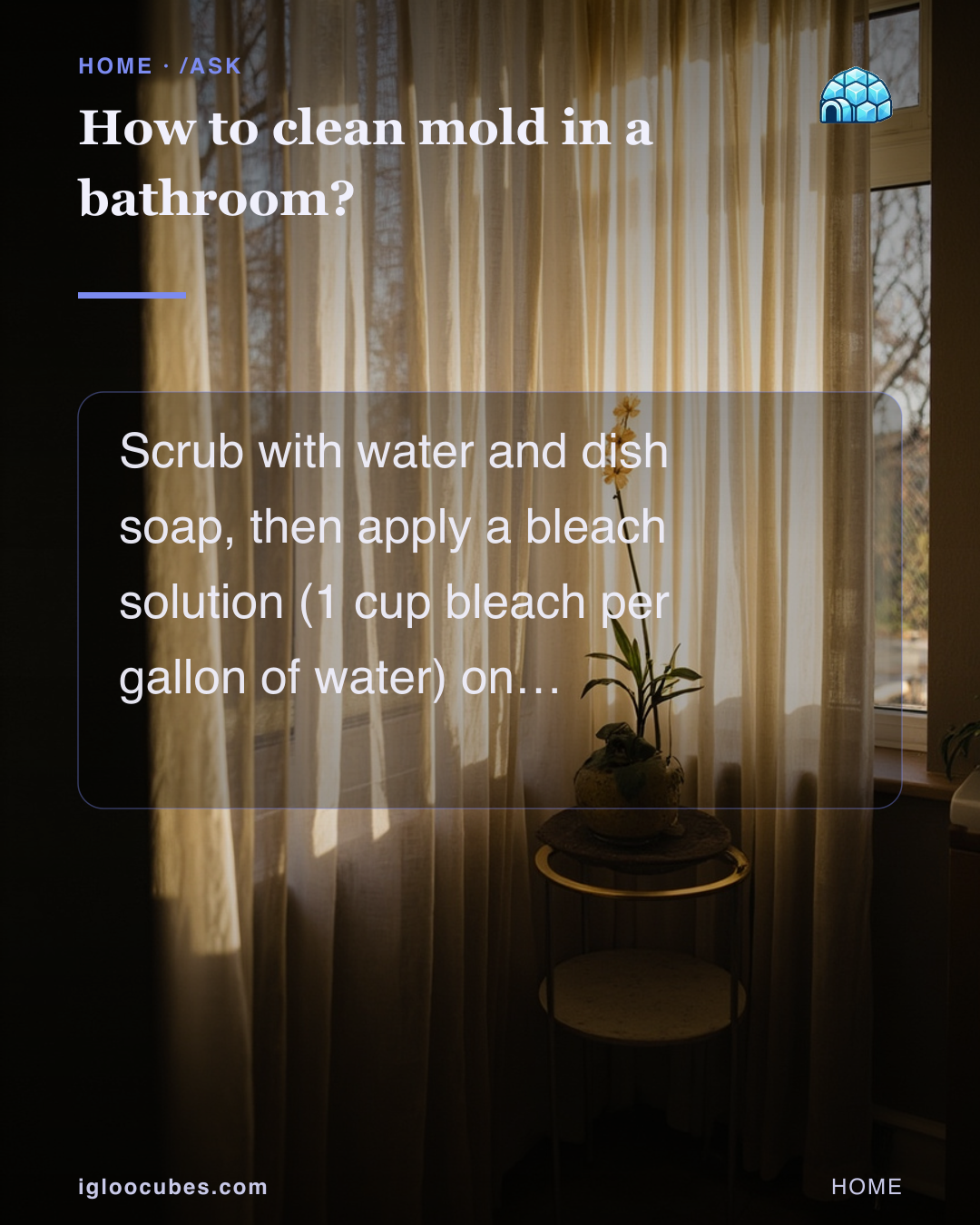 How to clean mold in a bathroom?