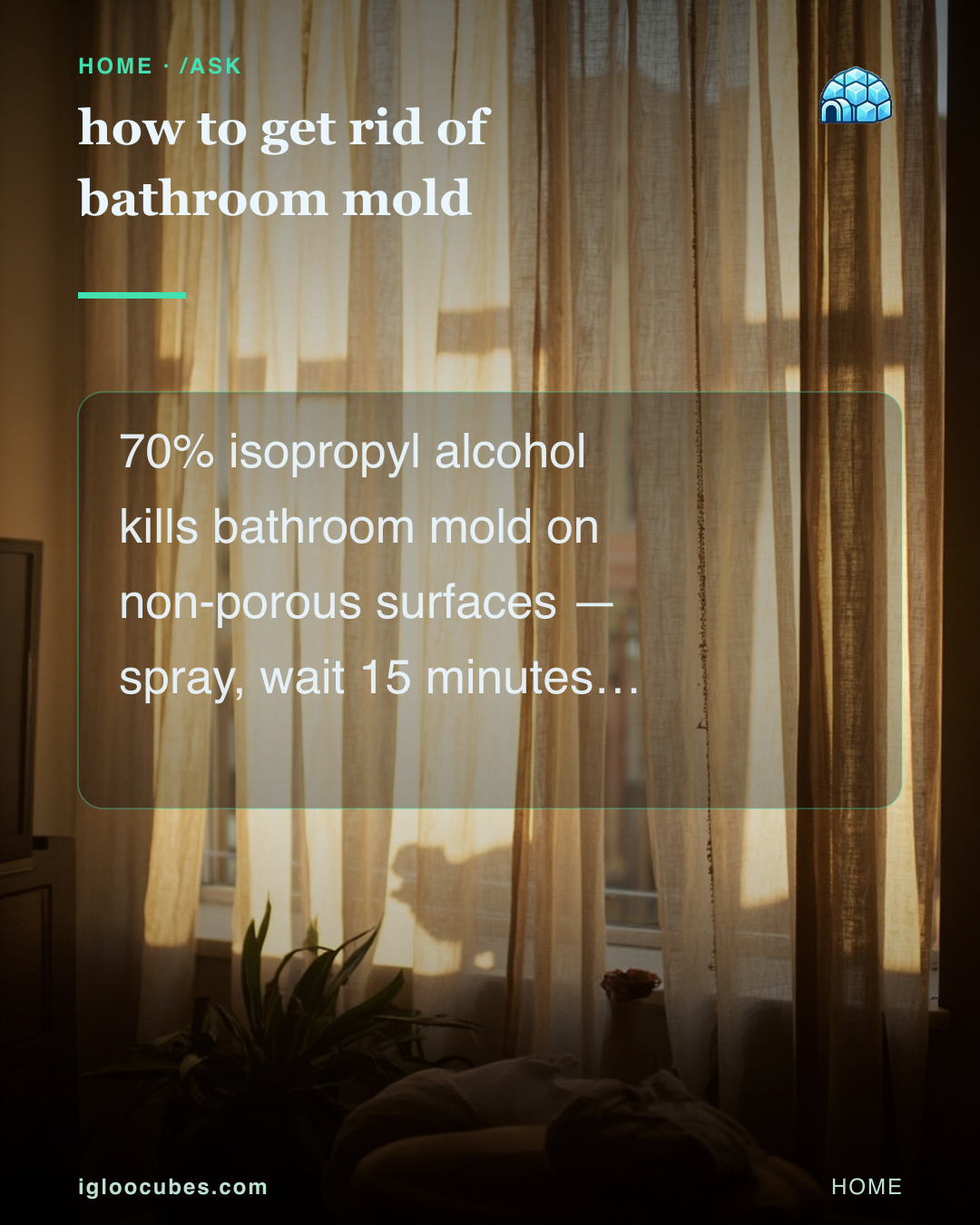 how to get rid of bathroom mold