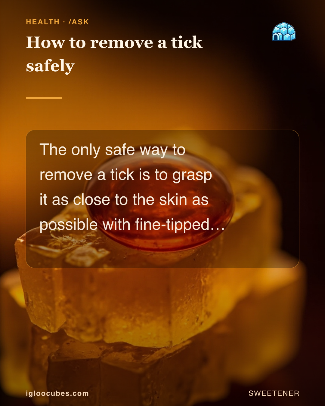 How to remove a tick safely