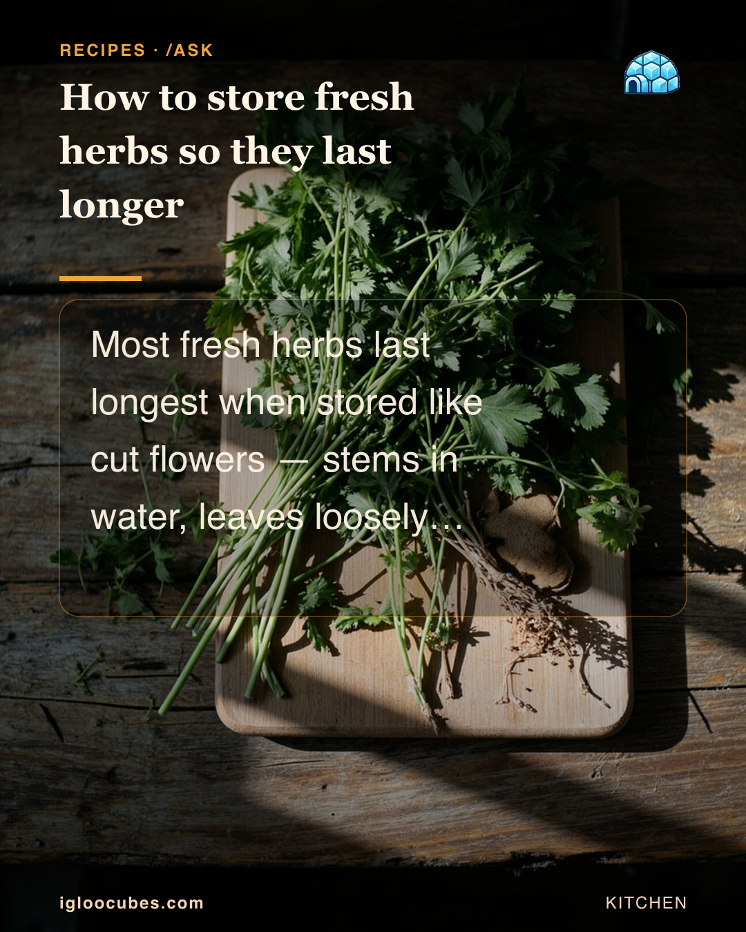 How to store fresh herbs so they last longer