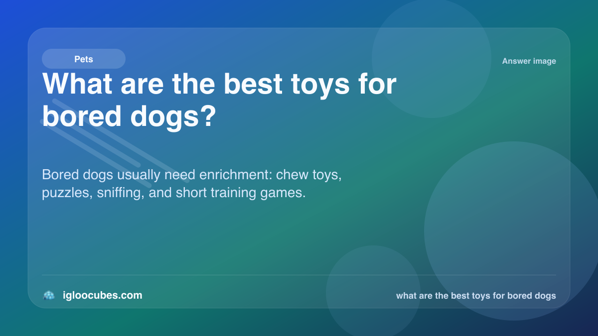 What are the best toys for bored dogs?