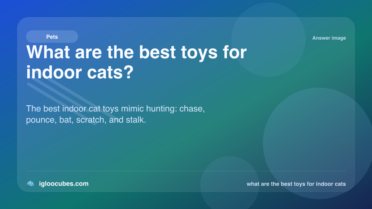What are the best toys for indoor cats?
