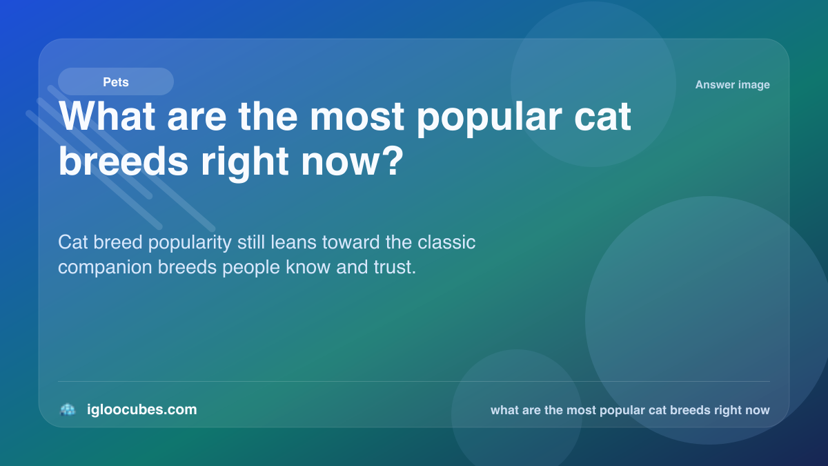 What are the most popular cat breeds right now?