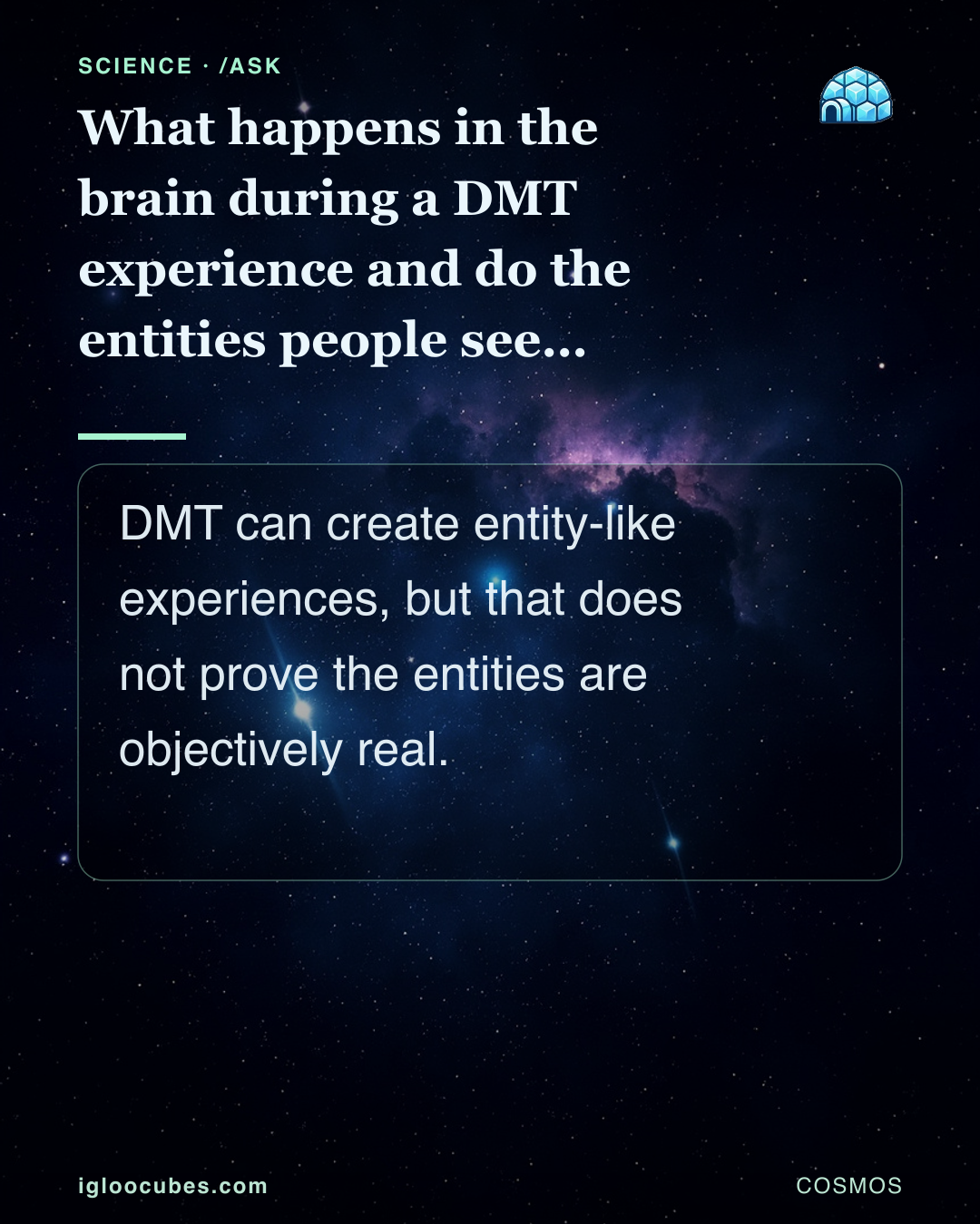 What happens in the brain during a DMT experience and do the entities people see exist?