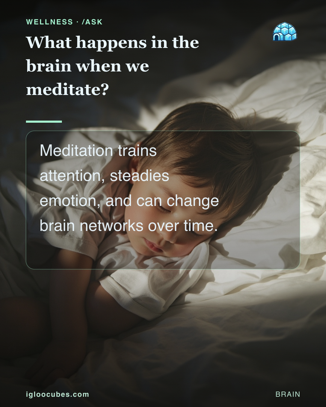 What happens in the brain when we meditate?