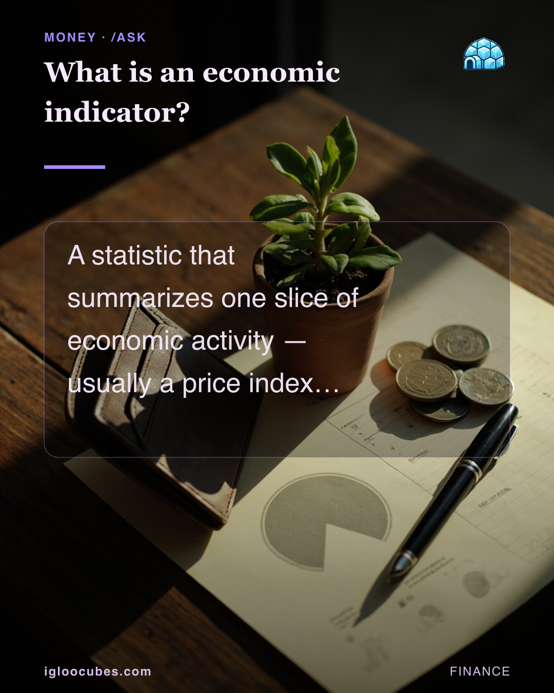 What is an economic indicator?