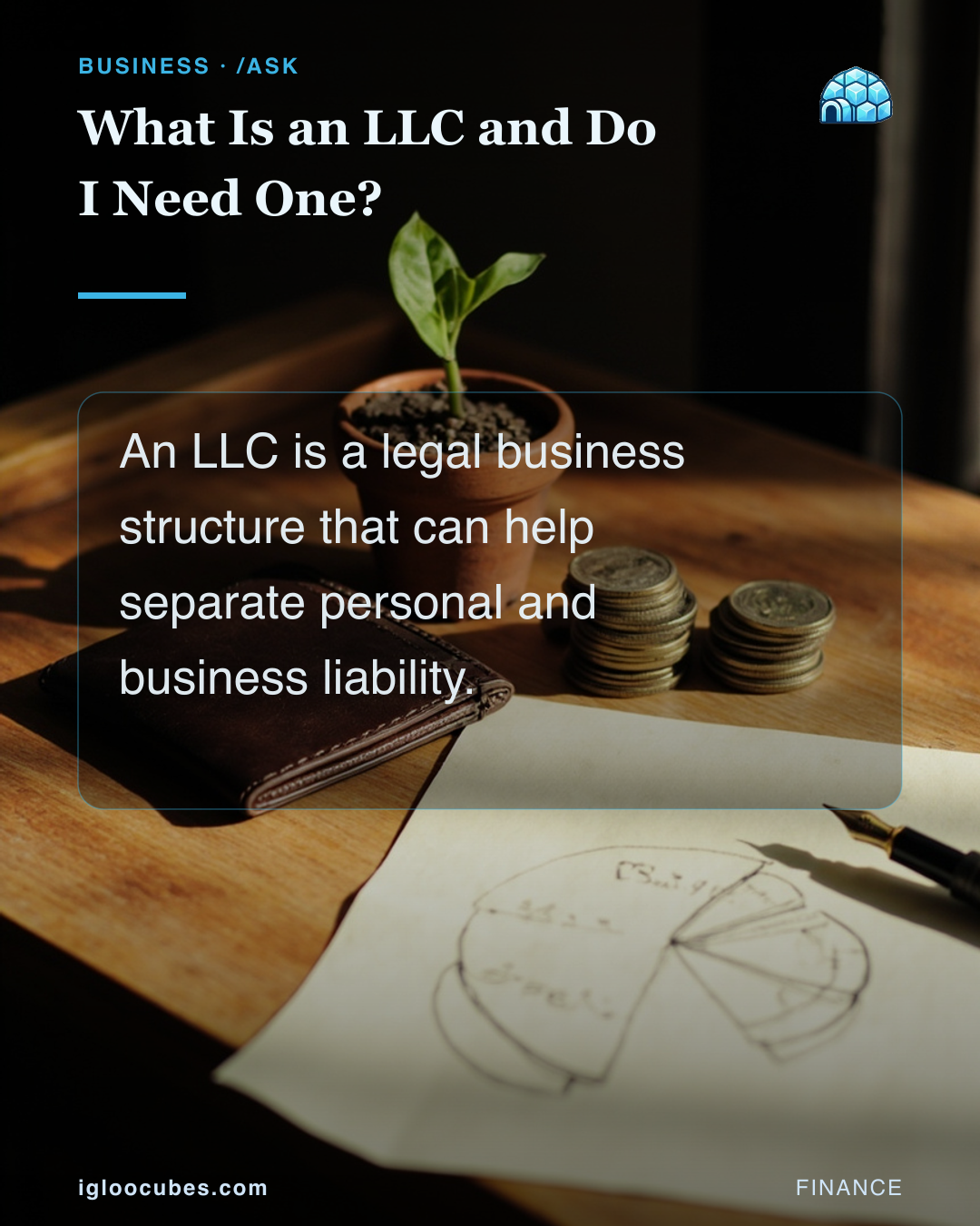 What Is an LLC and Do I Need One?