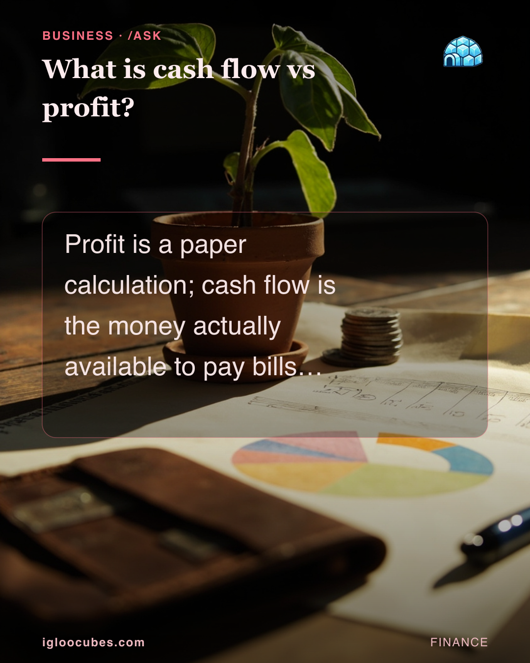What is cash flow vs profit?