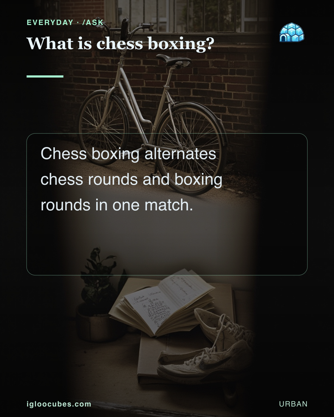 What is chess boxing?