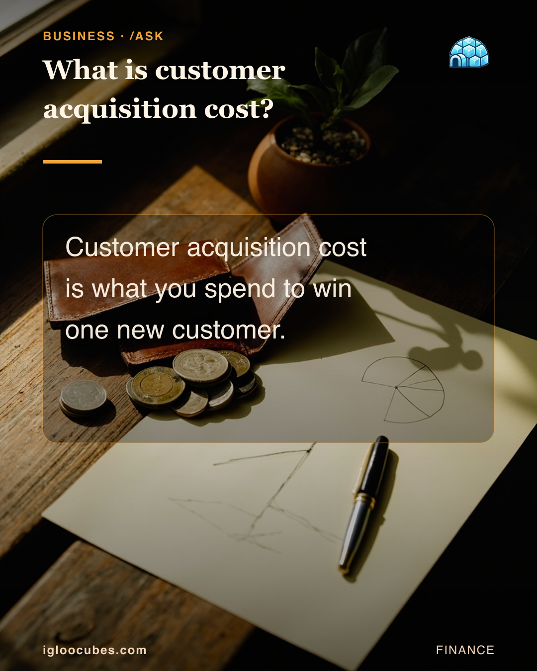 What is customer acquisition cost?