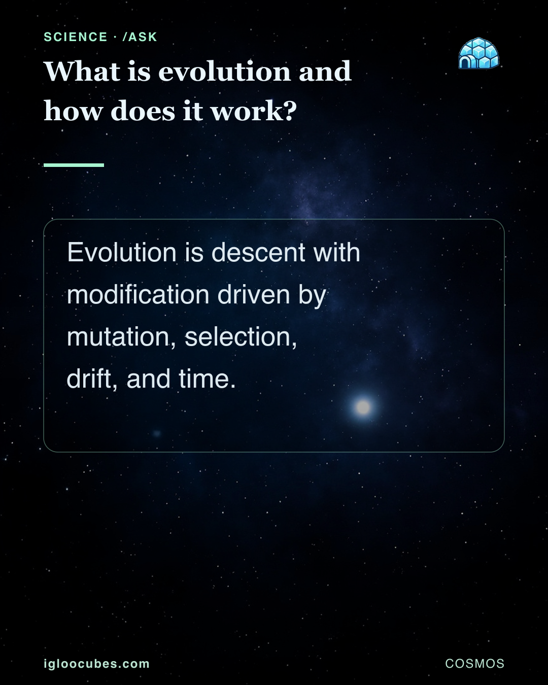 What is evolution and how does it work?