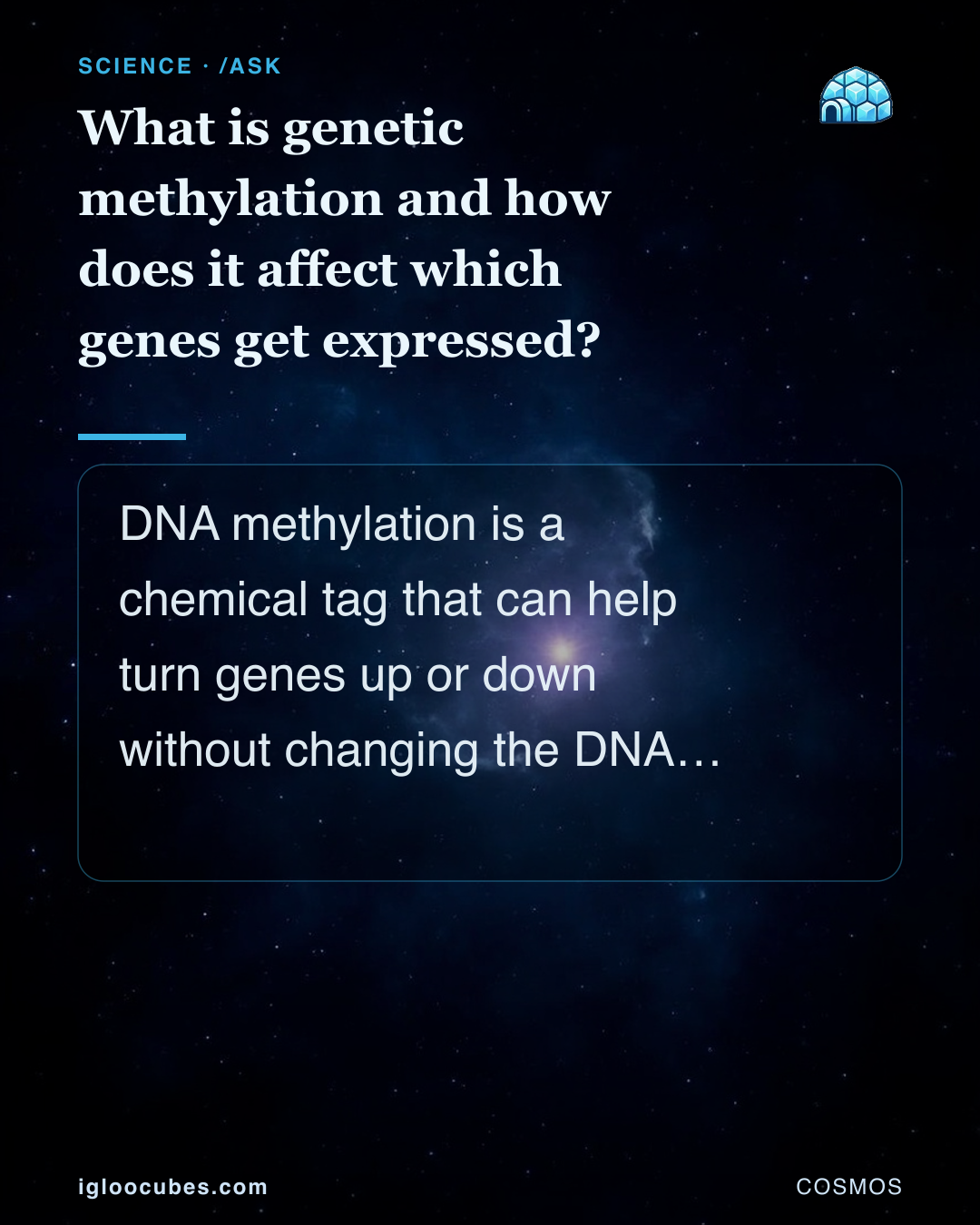 What is genetic methylation and how does it affect which genes get expressed?