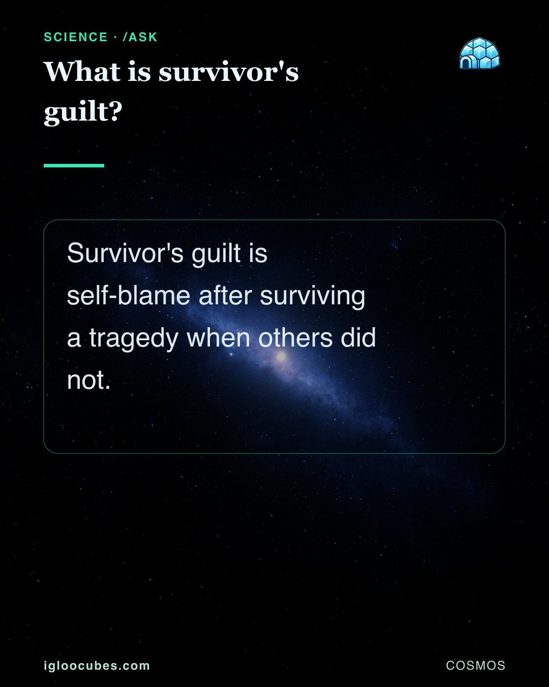 What is survivor's guilt?