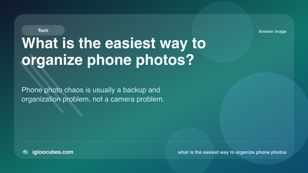 What is the easiest way to organize phone photos?