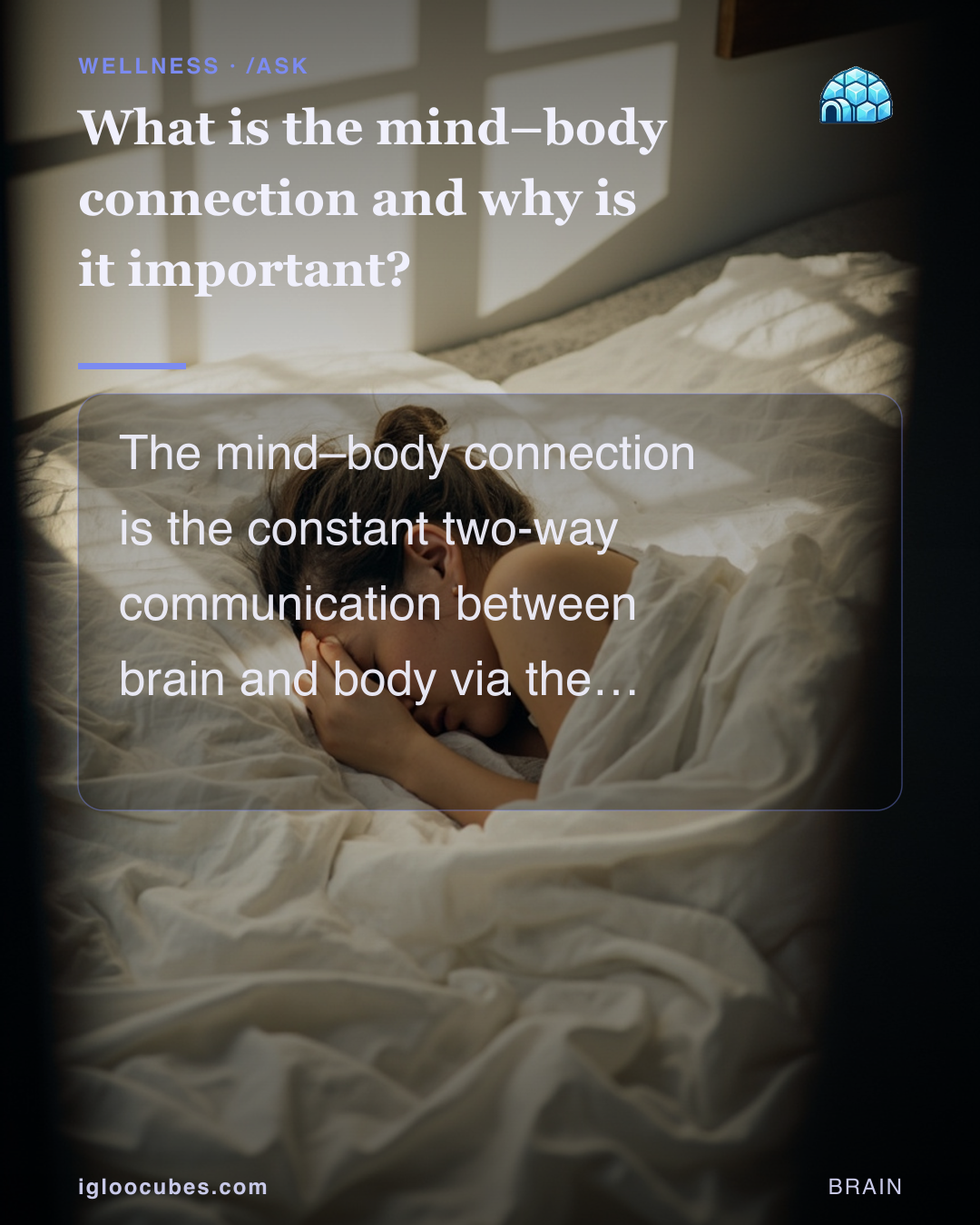 What is the mind–body connection and why is it important?