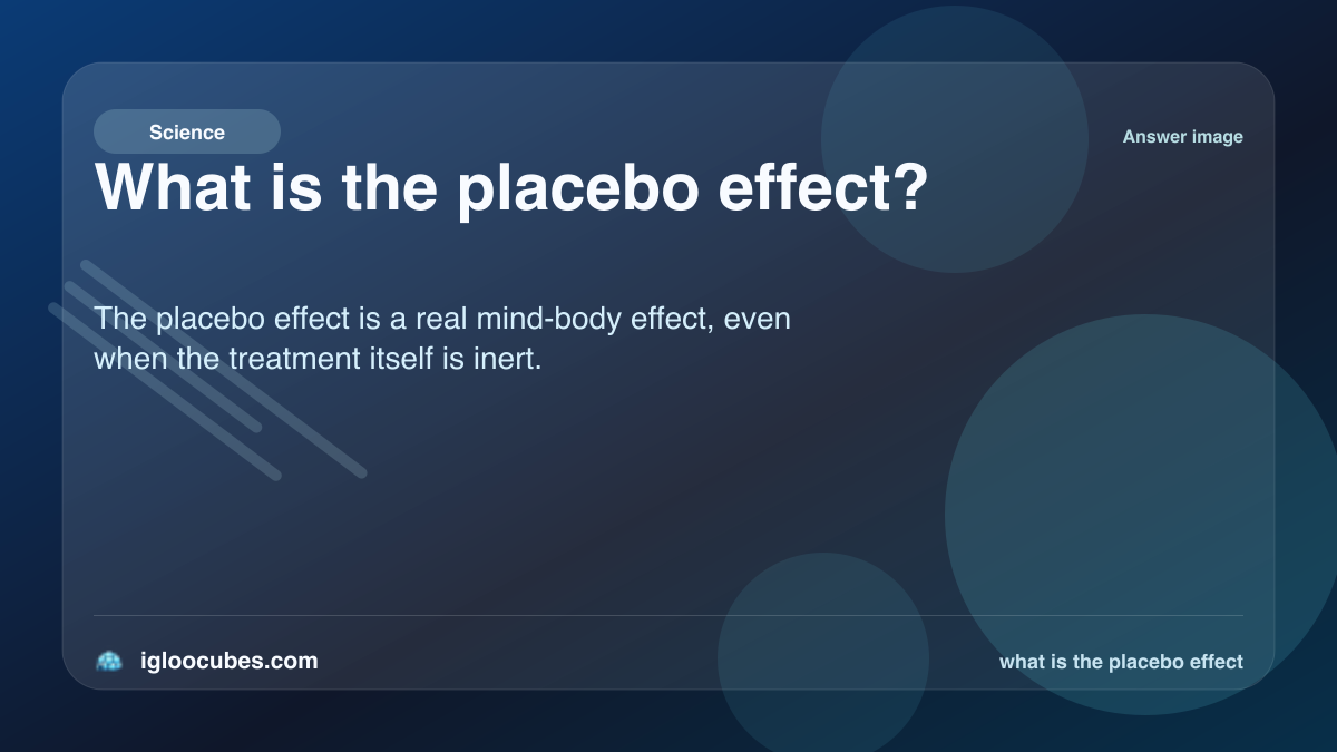 What is the placebo effect?
