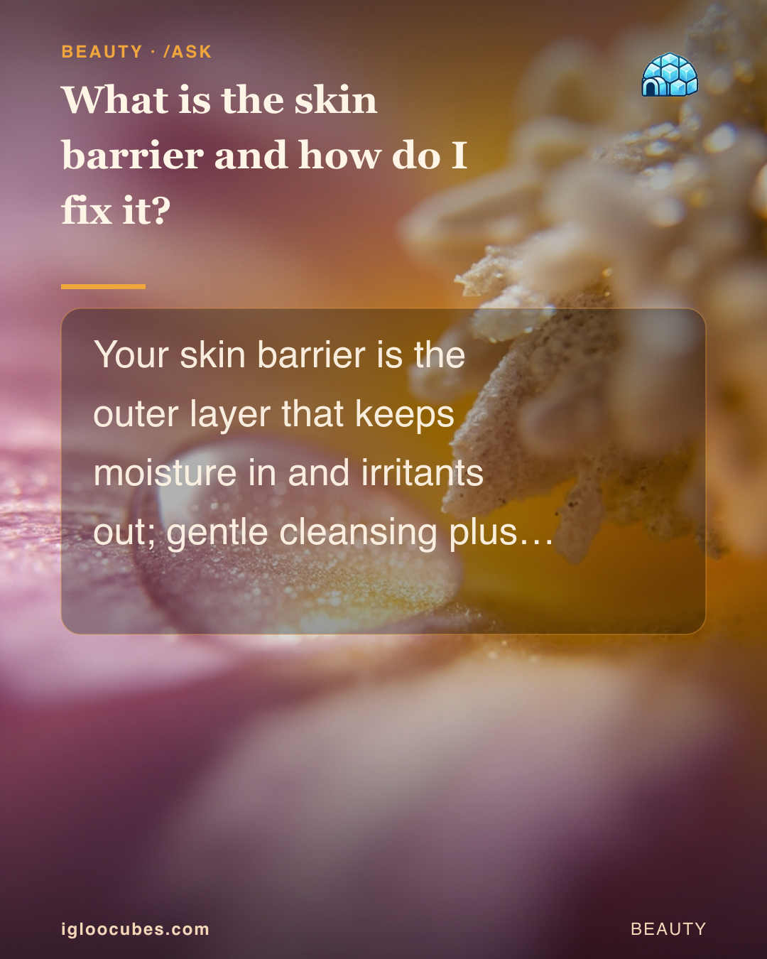 What is the skin barrier and how do I fix it?