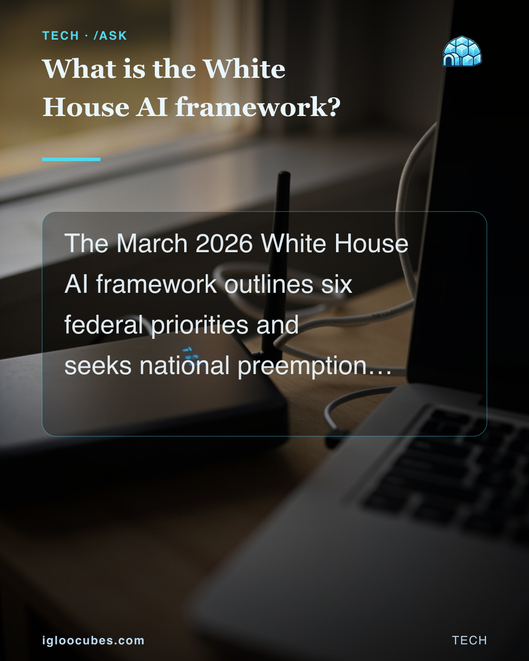 What is the White House AI framework?