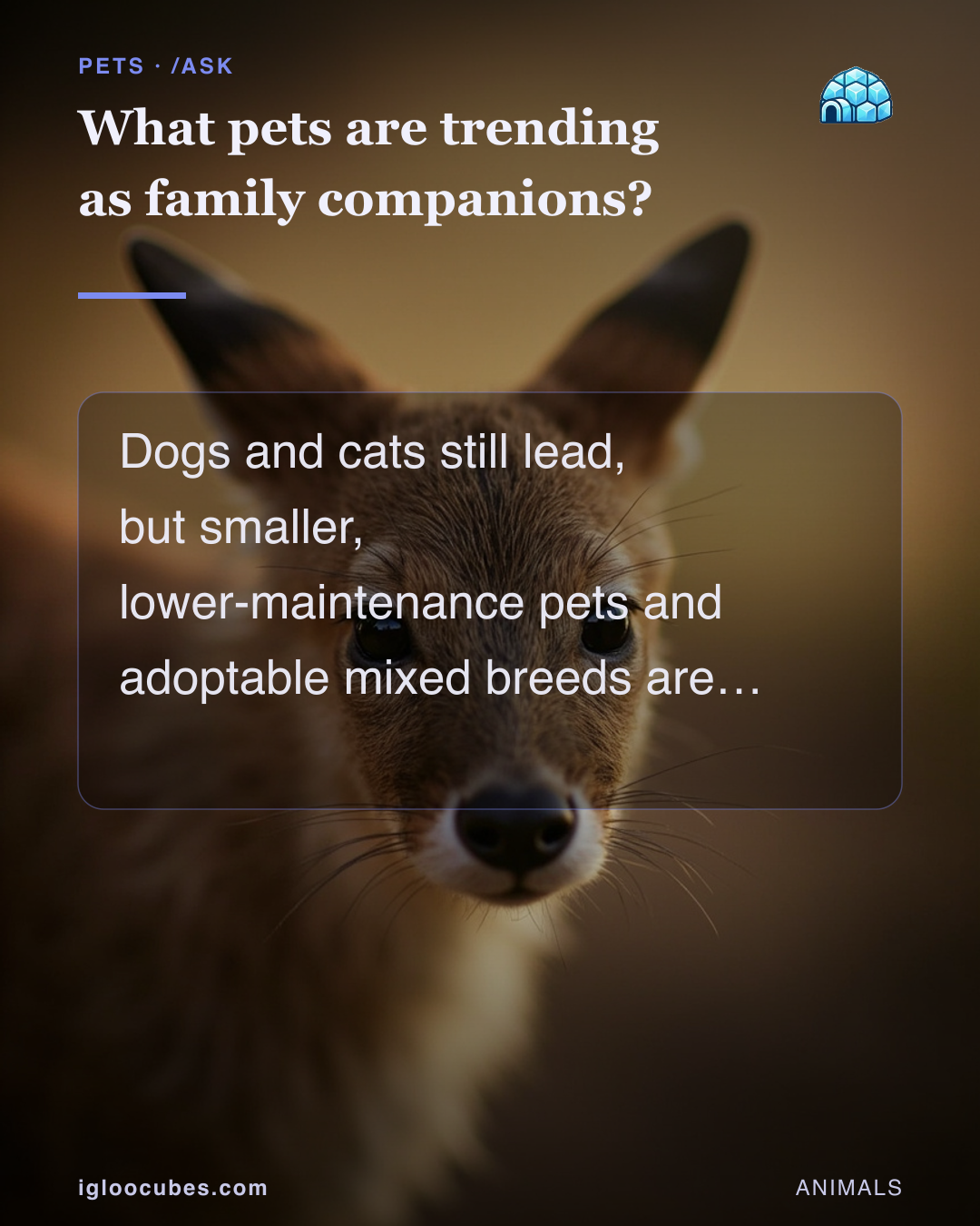 What pets are trending as family companions?