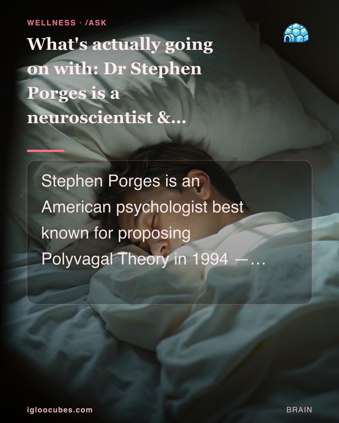What's actually going on with: Dr Stephen Porges is a neuroscientist & psychologist?