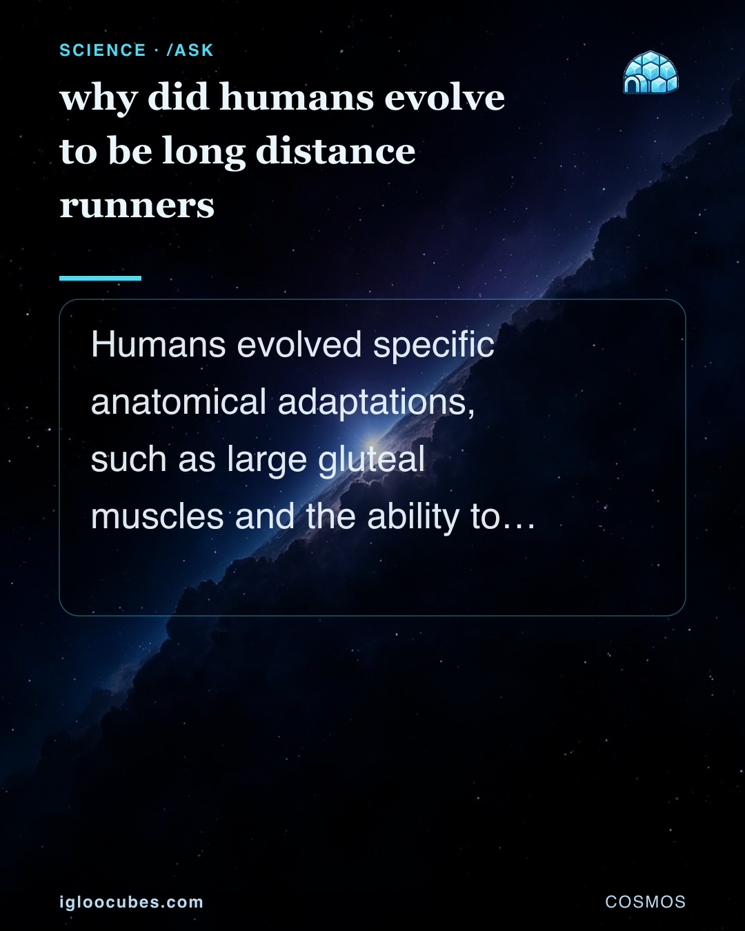why did humans evolve to be long distance runners