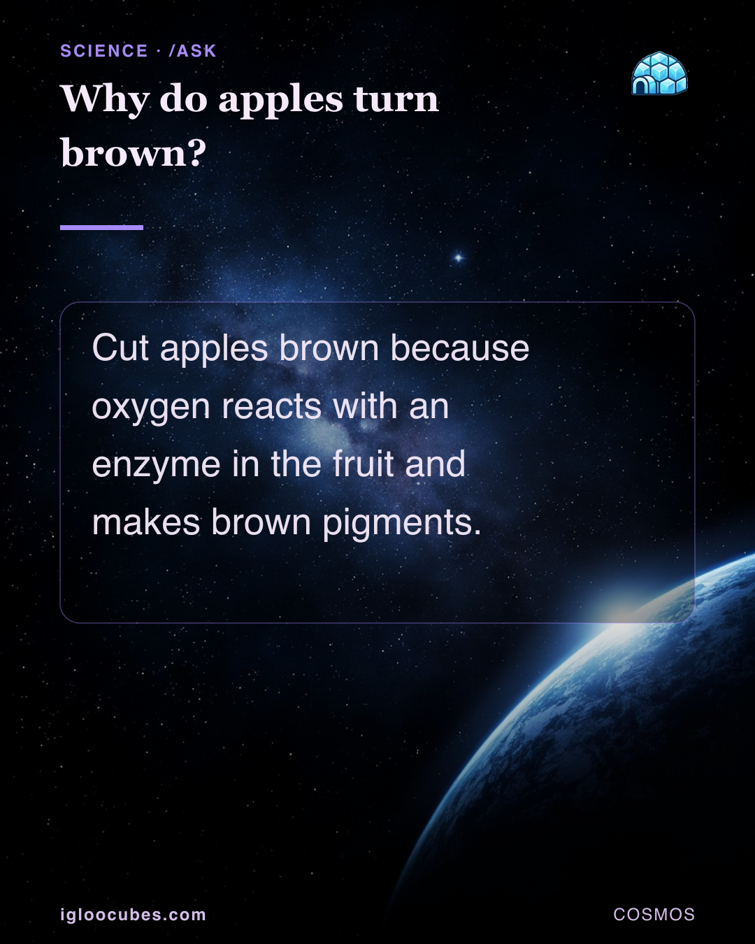 Why do apples turn brown?