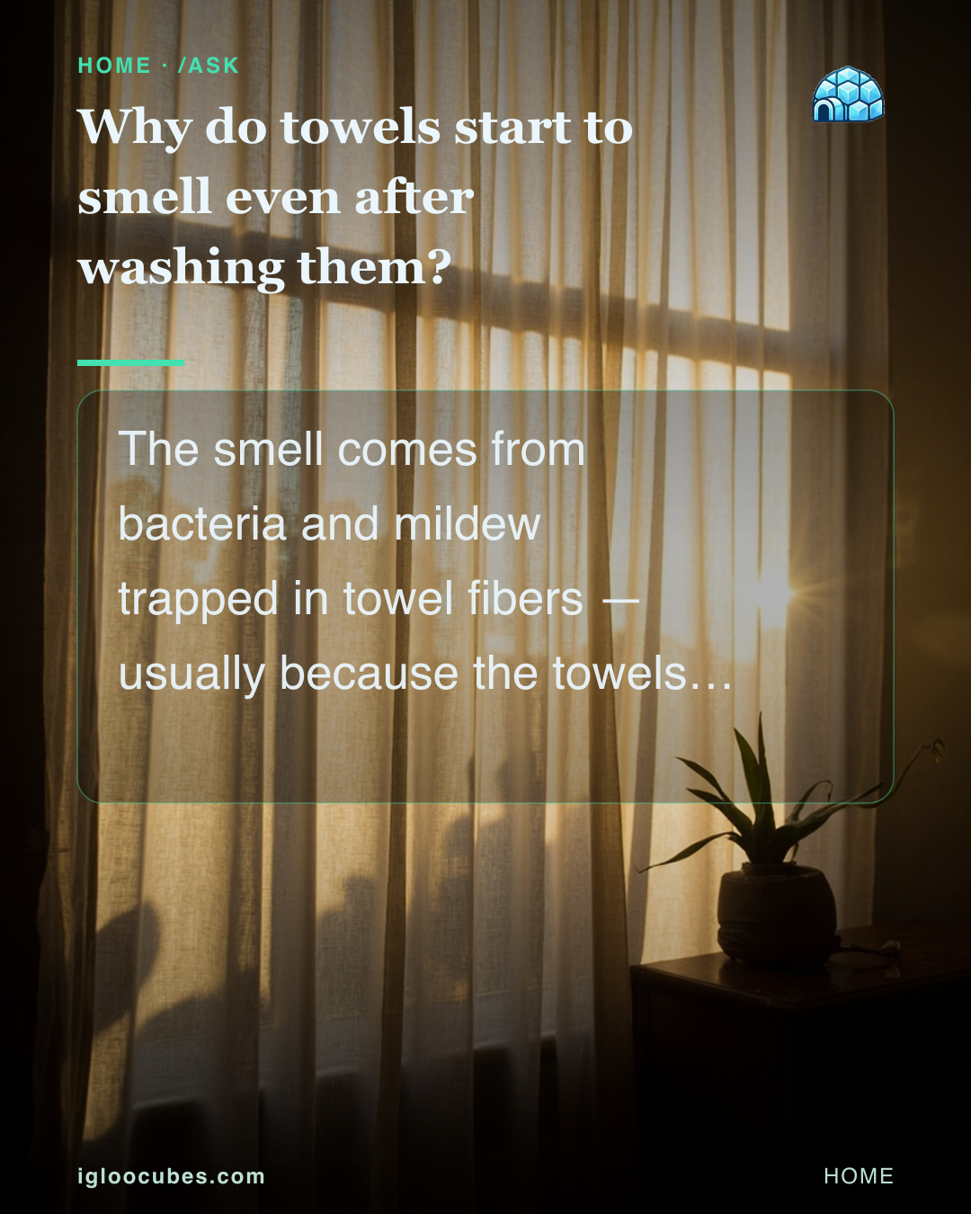 Why do towels start to smell even after washing them?