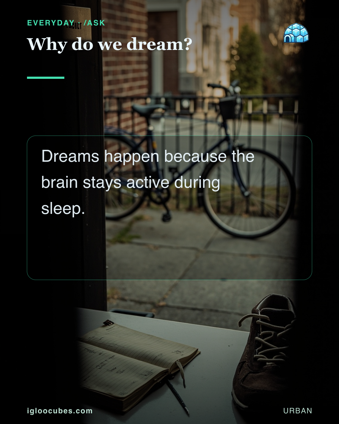 Why do we dream?
