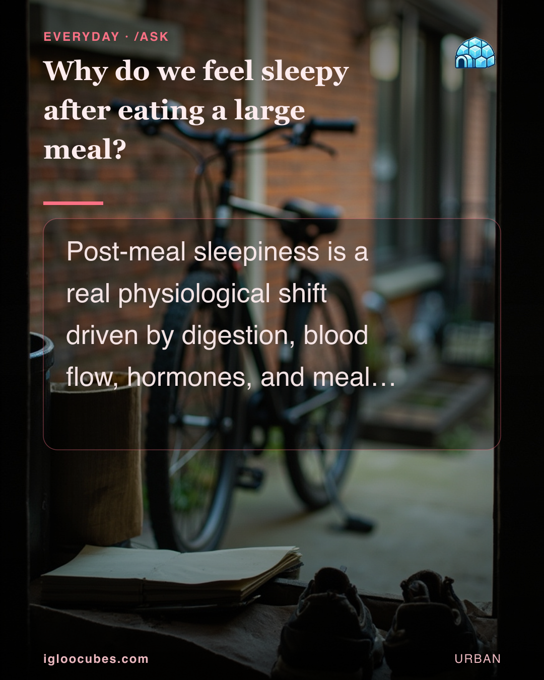 Why do we feel sleepy after eating a large meal?