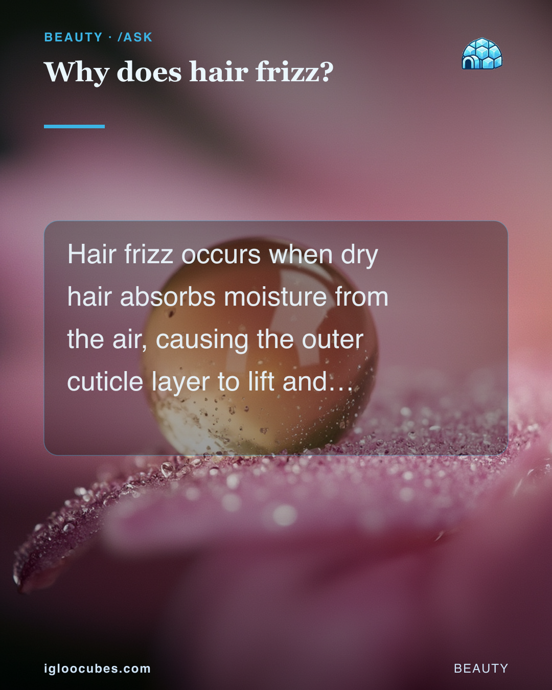 Why does hair frizz?