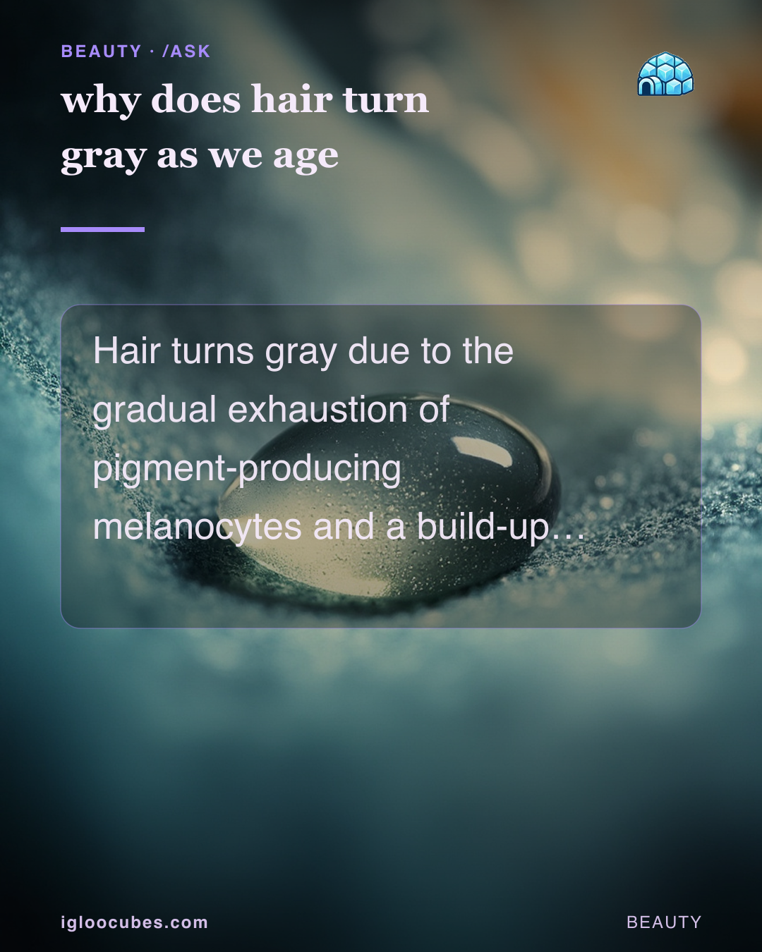 why does hair turn gray as we age