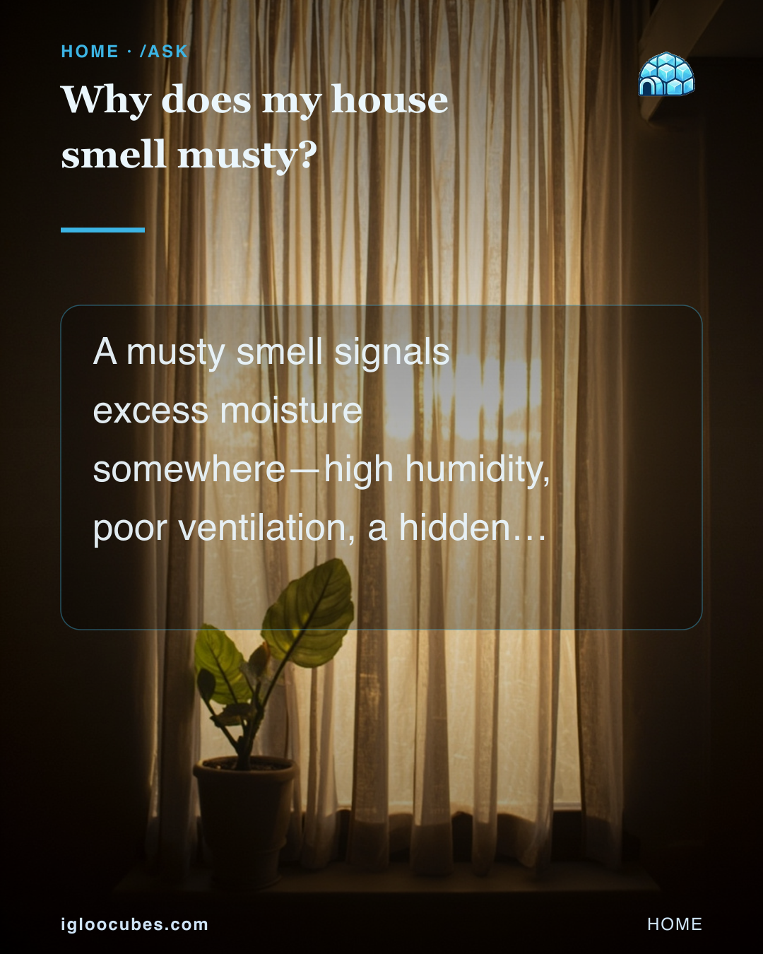 Why does my house smell musty?