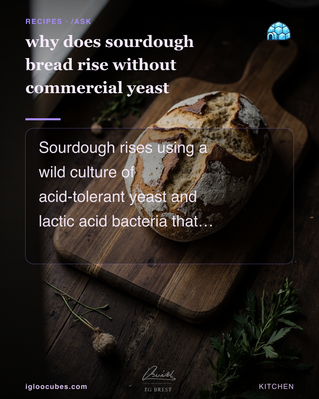 why does sourdough bread rise without commercial yeast