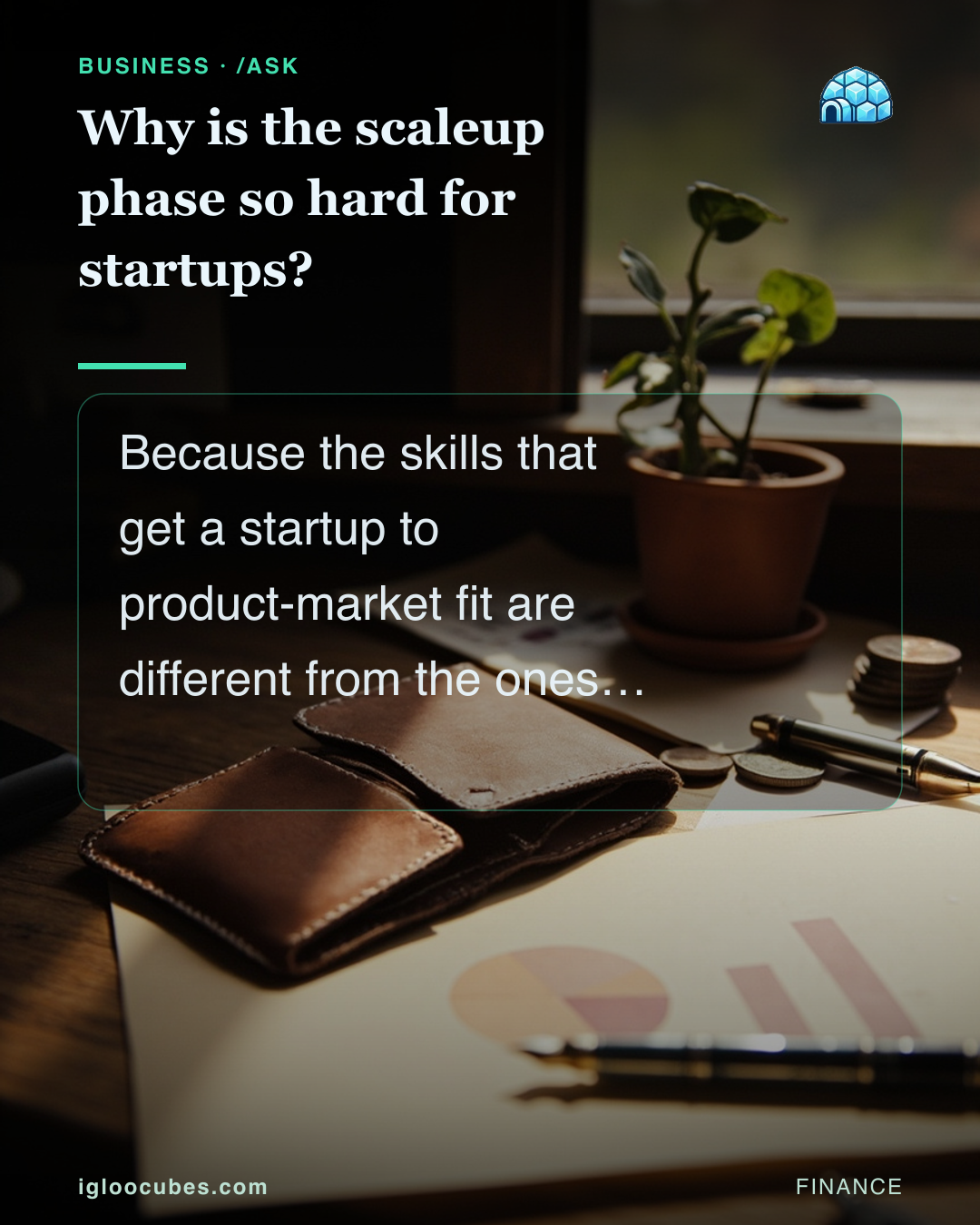 Why is the scaleup phase so hard for startups?